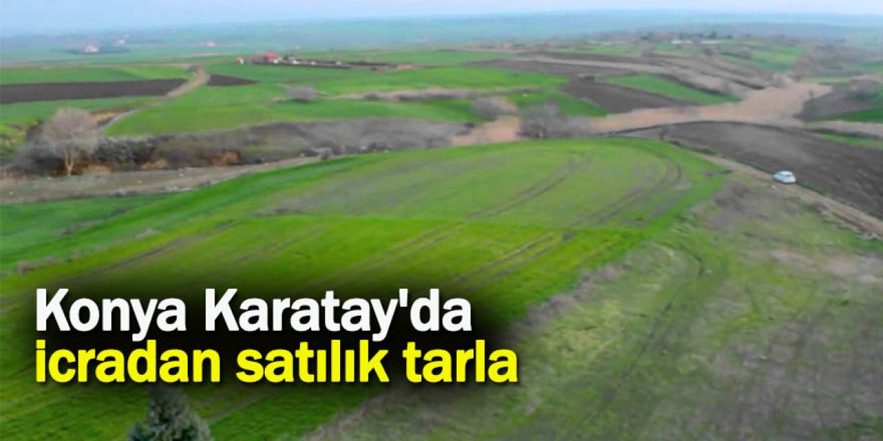 Konya Karatay'da icradan satılık tarla
