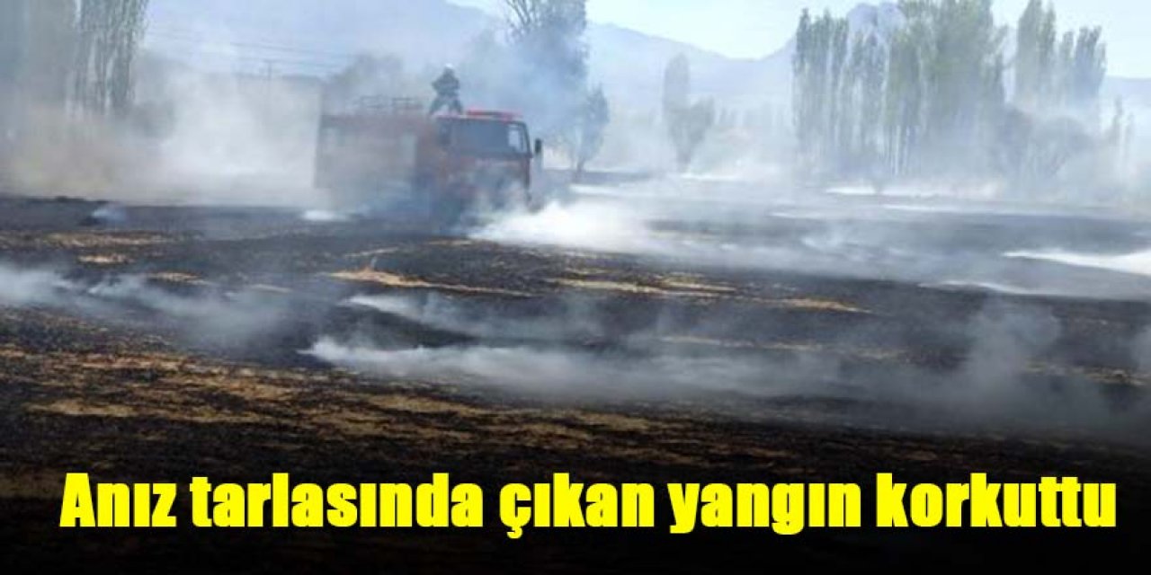 Anız yangın korkuttu
