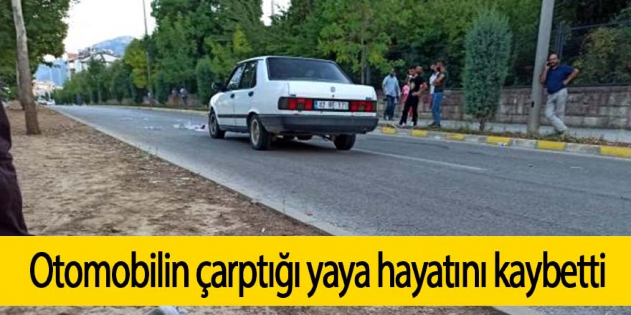 Otomobilin çarptığı yaya hayatını kaybetti