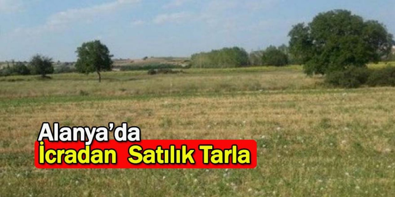 Alanya’da  İcradan  Satılık Tarla