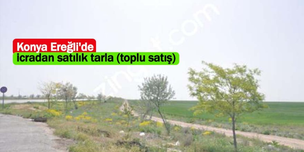 Konya Ereğli'de icradan satılık tarla (toplu satış)