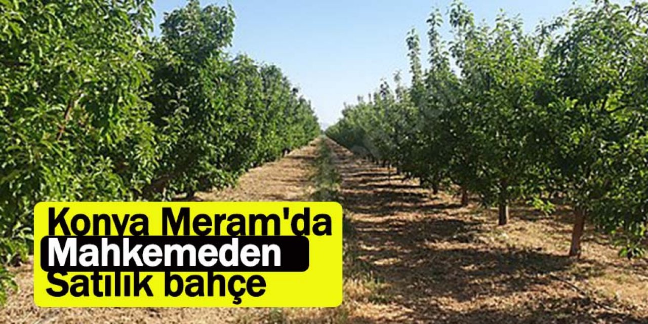 Konya Meram'da Mahkemeden Satılık bahçe