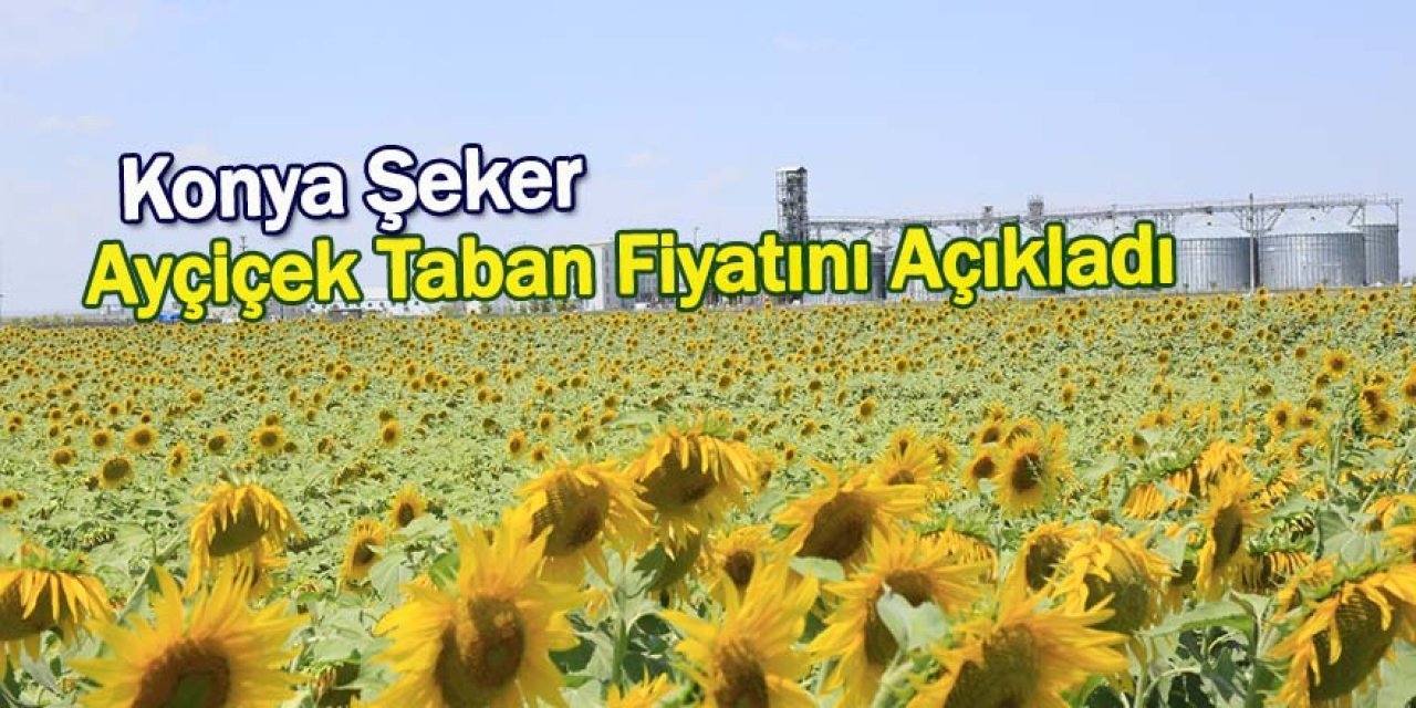 Konya Şeker, Ayçiçek Taban Fiyatını Açıkladı
