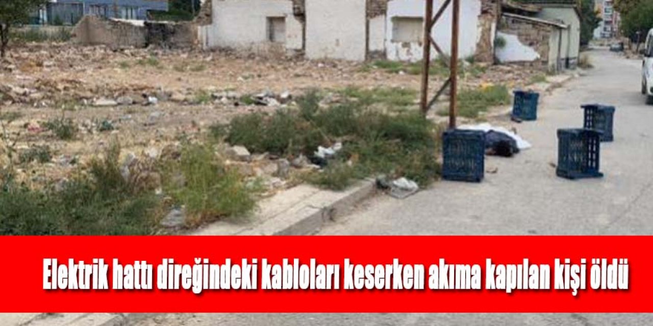 Elektrik hattı direğindeki kabloları keserken akıma kapılan kişi öldü