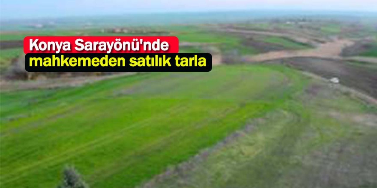 Konya Sarayönü'nde mahkemeden satılık tarla