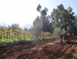 Özgüven: Ekim Nöbeti uygulayın