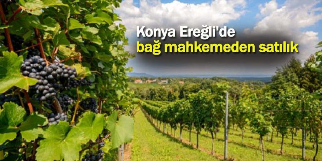 Konya Ereğli'de bağ mahkemeden satılık