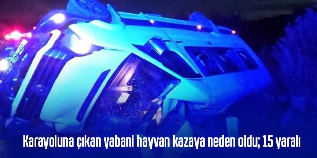 Kız istemeye gidenleri taşıyan minibüs devrildi: 15 yaralı