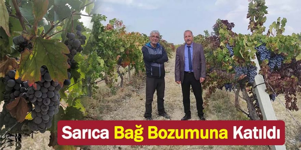 İlçe Tarım Müdürü Sarıca Bağ Bozumuna Katıldı