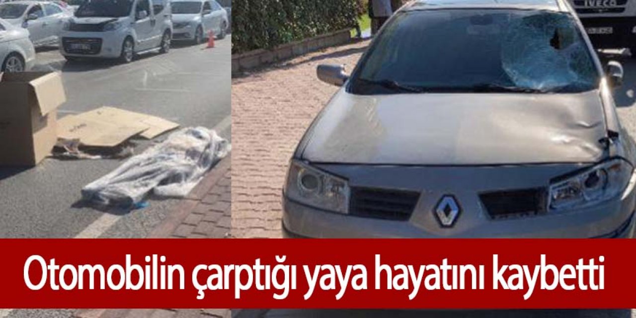 Yolun karşısına geçmeye çalışan yaya otomobil çarptı