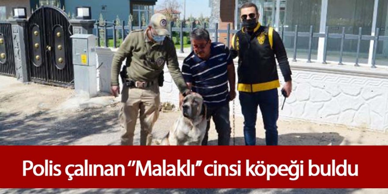 POLİS, ÇALINAN 'MALAKLI' CİNSİ KÖPEĞİ 20 SAATLİK KAMERA GÖRÜNTÜSÜ İZLEYEREK BULDU