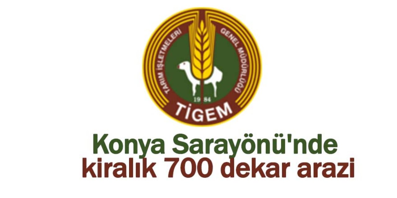 Konya Sarayönü'nde kiralık 700 dekar arazi
