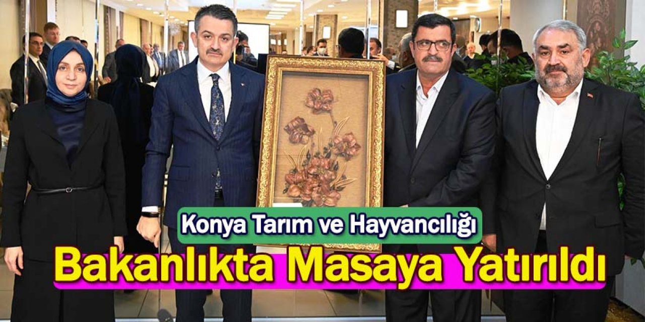 Konya Tarım ve Hayvancılığı, Bakanlıkta Masaya Yatırıldı