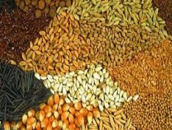 2013 yılı fark ödemeleri belirlendi