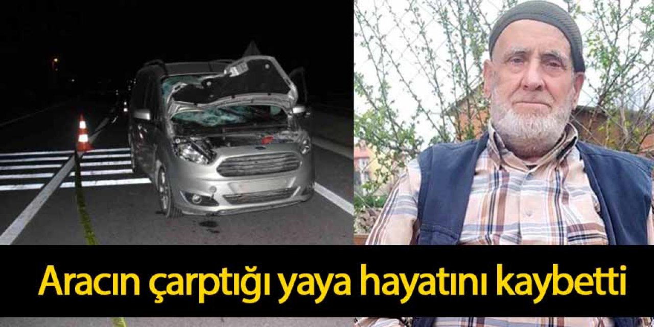 Yolun karşısına geçerken aracın çarptığı yaya hayatını kaybetti