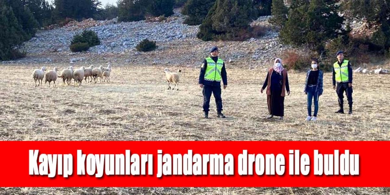 Kayıp koyunları jandarma drone ile 3 saatlik arama sonucu buldu