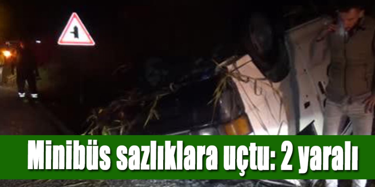 Minibüs sazlıklara uçtu: 2 yaralı