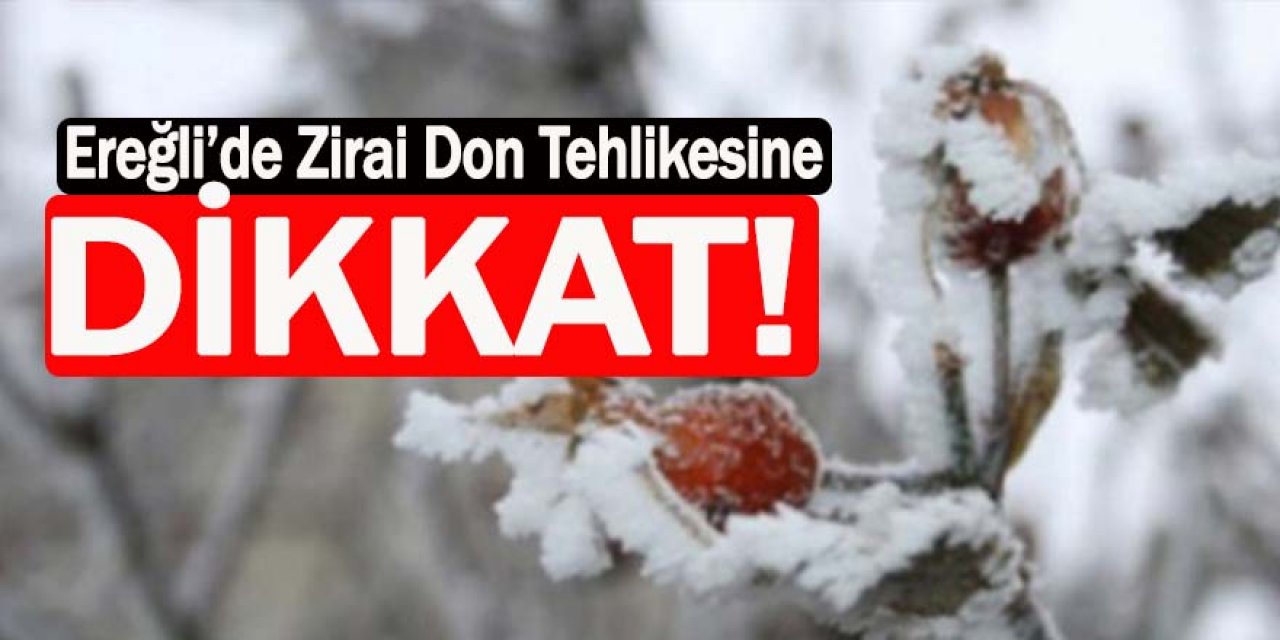 Meteoroloji’den Ereğli için Zirai Don Uyarısı!