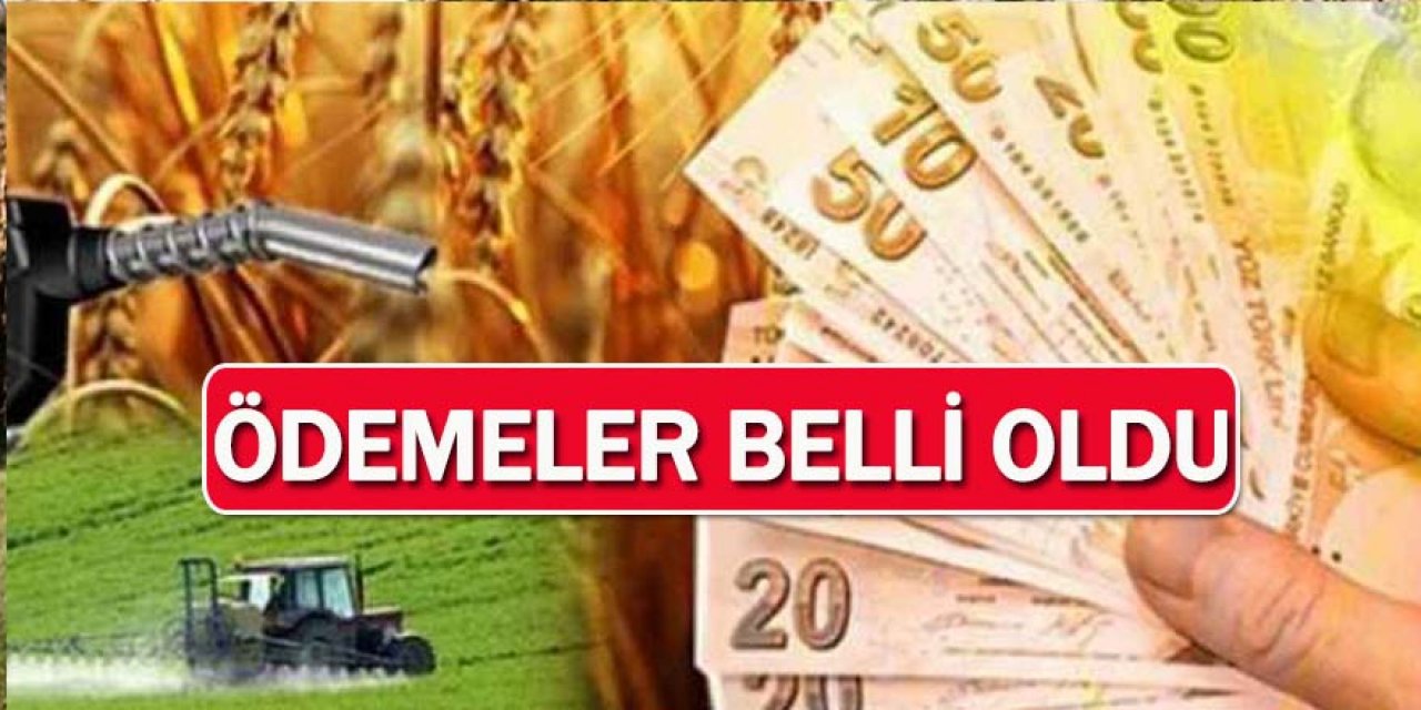 Çiftçilere Ödenecek Tarımsal Destekler Belli Oldu