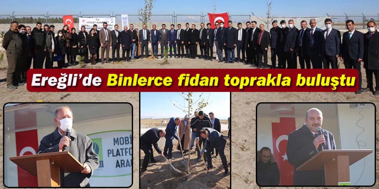 Ereğli’de Binlerce fidan toprakla buluştu