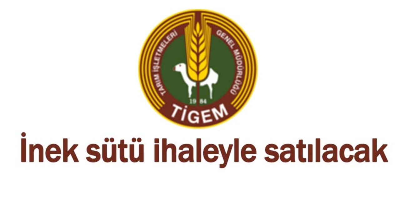 İnek sütü ihaleyle satılacak