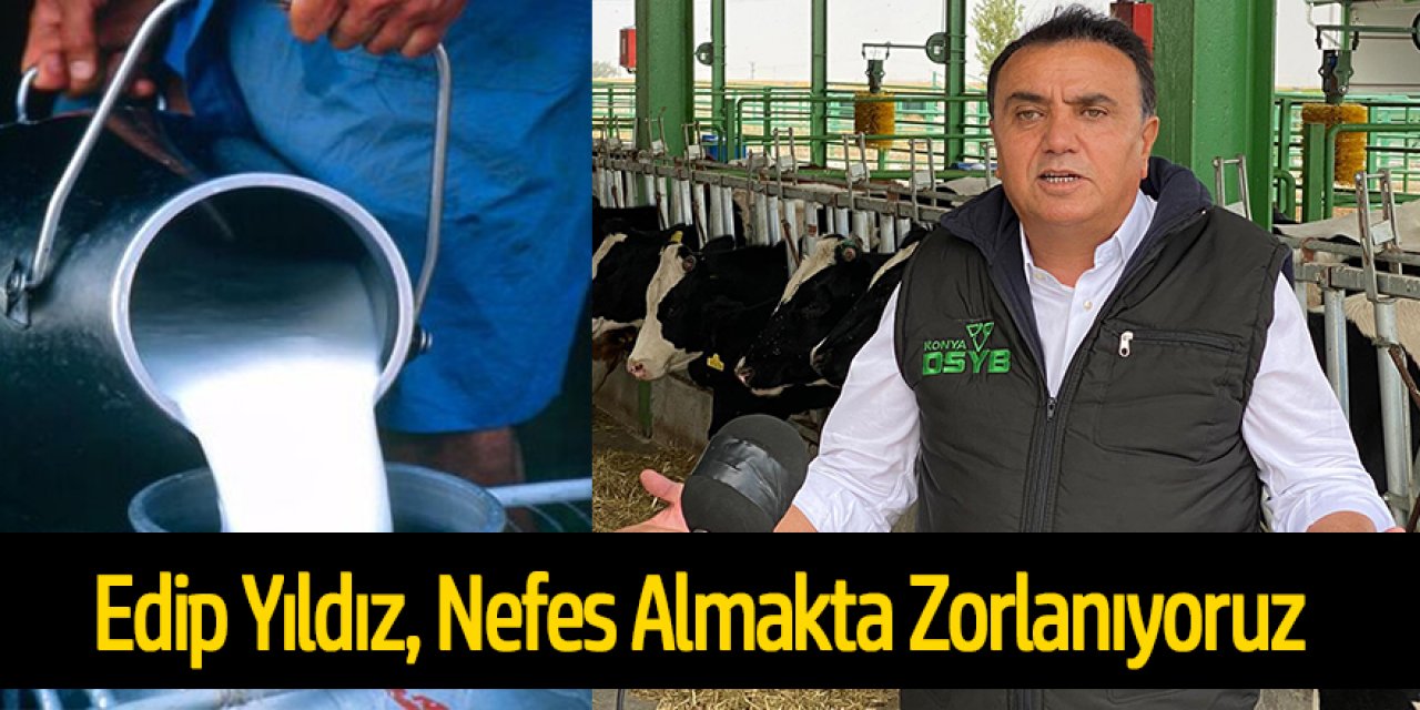 Edip Yıldız, Nefes Almakta Zorlanıyoruz