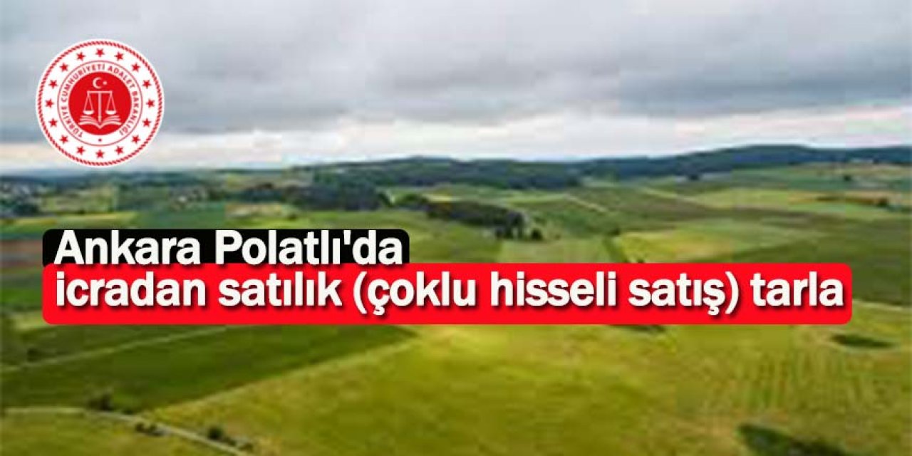Ankara Polatlı'da icradan satılık (çoklu hisseli satış) tarla