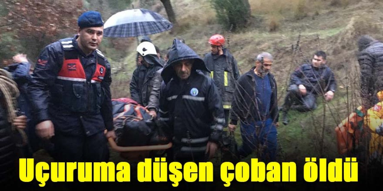 Koyun otlatan çoban uçuruma düştü