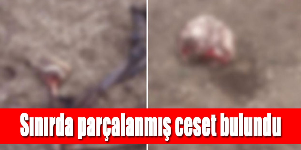 İran sınırında parçalanmış ceset bulundu