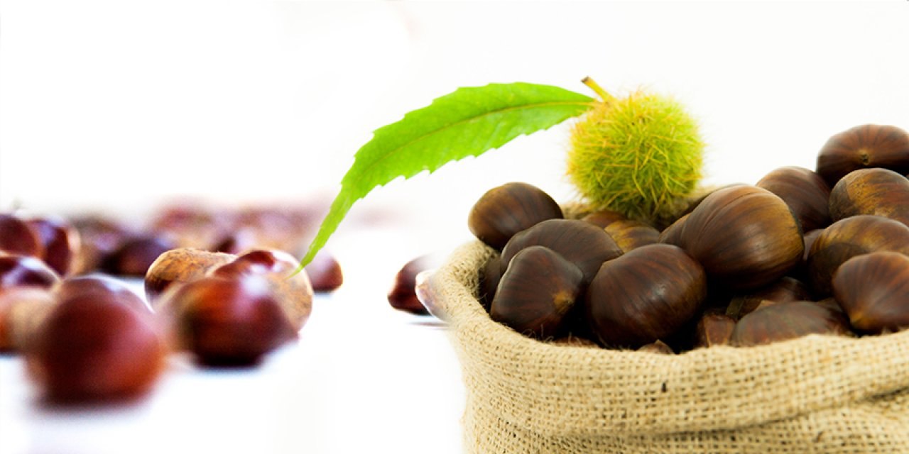 Kestane ihracatında yüzde 79’luk artış