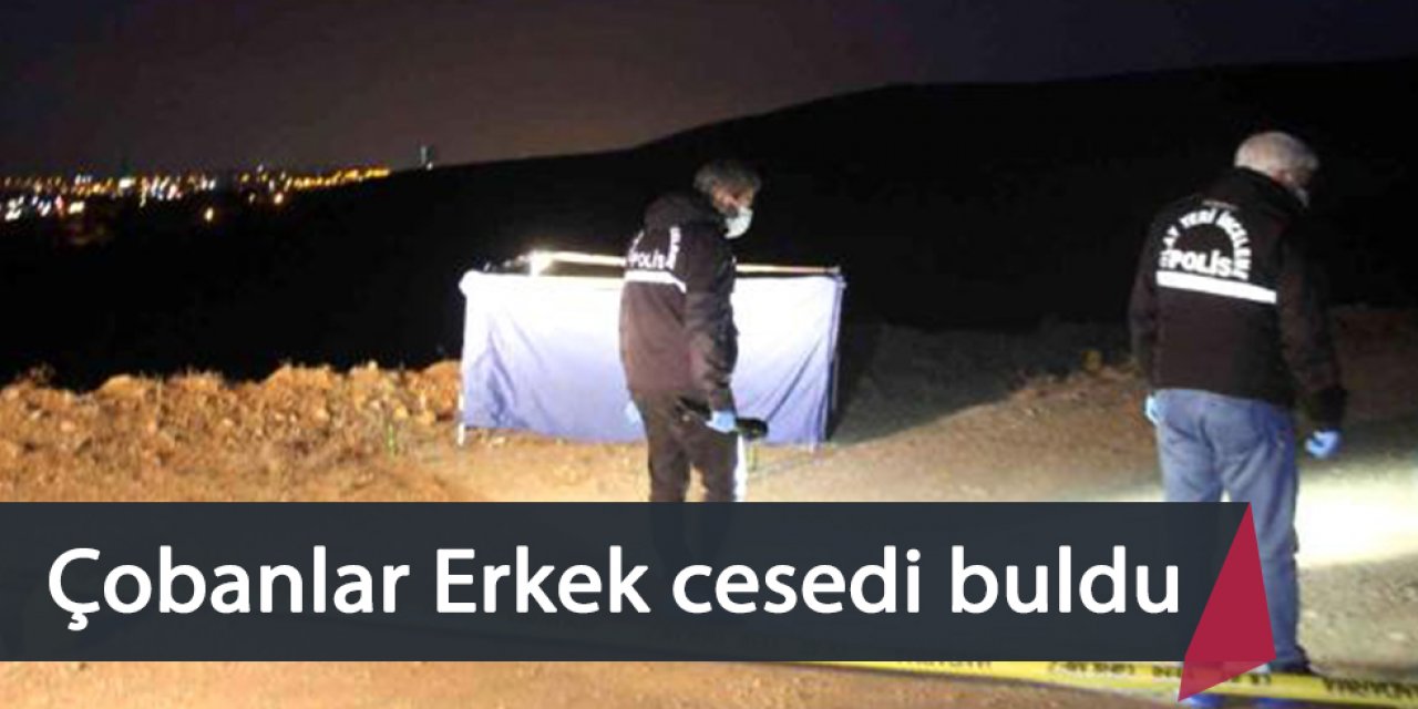 Boş arazide silah ve bıçak darbeleriyle öldürülmüş ceset bulundu.