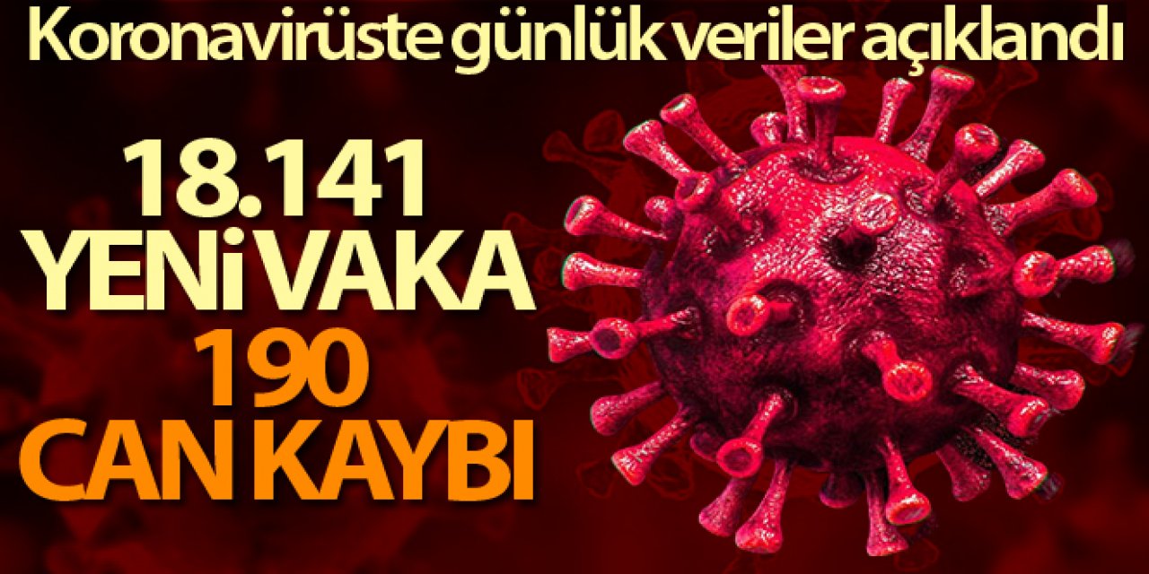 Son 24 saatte 18 bin 141 vaka, 190 can kaybı