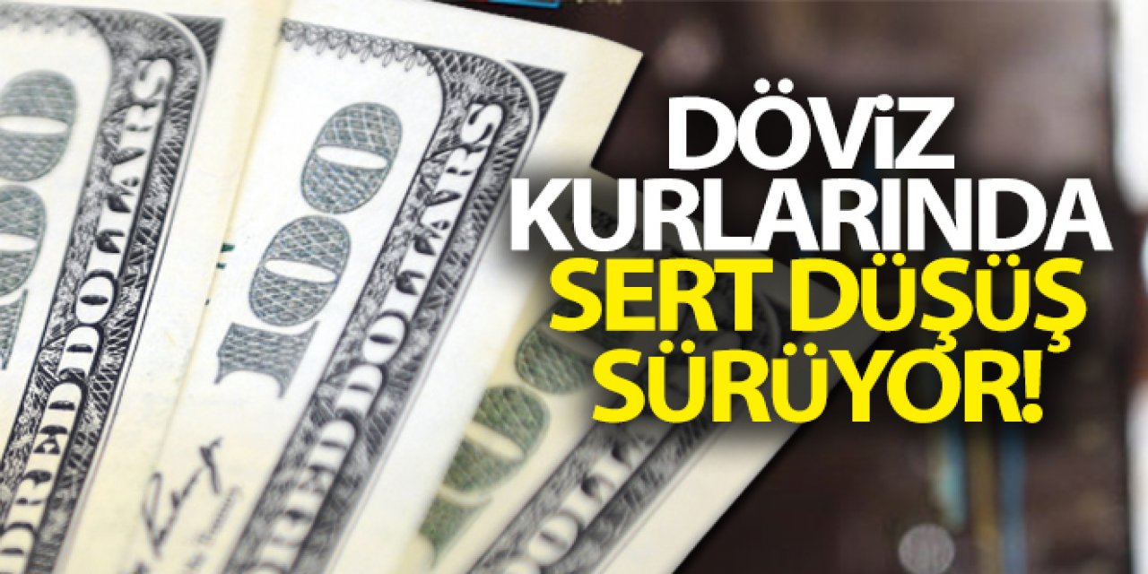 Döviz kurlarında son durum!