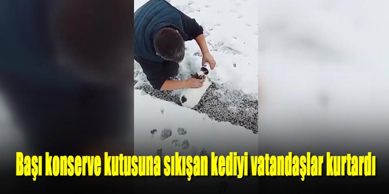 Başı konserve kutusuna sıkışan kediyi yoldan geçen vatandaşlar kurtardı