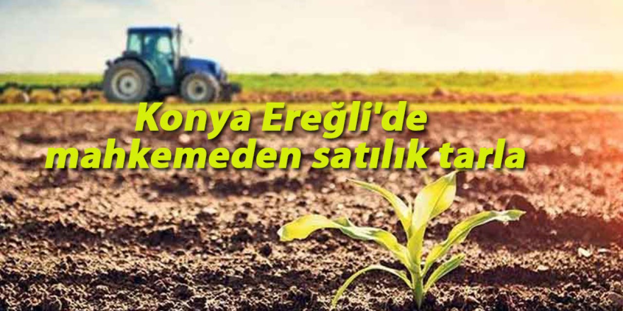 Konya Ereğli'de mahkemeden satılık tarla