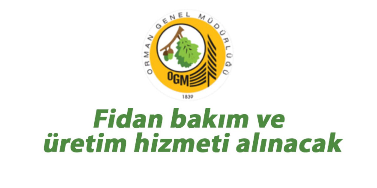 Fidan bakım ve üretim hizmeti alınacak