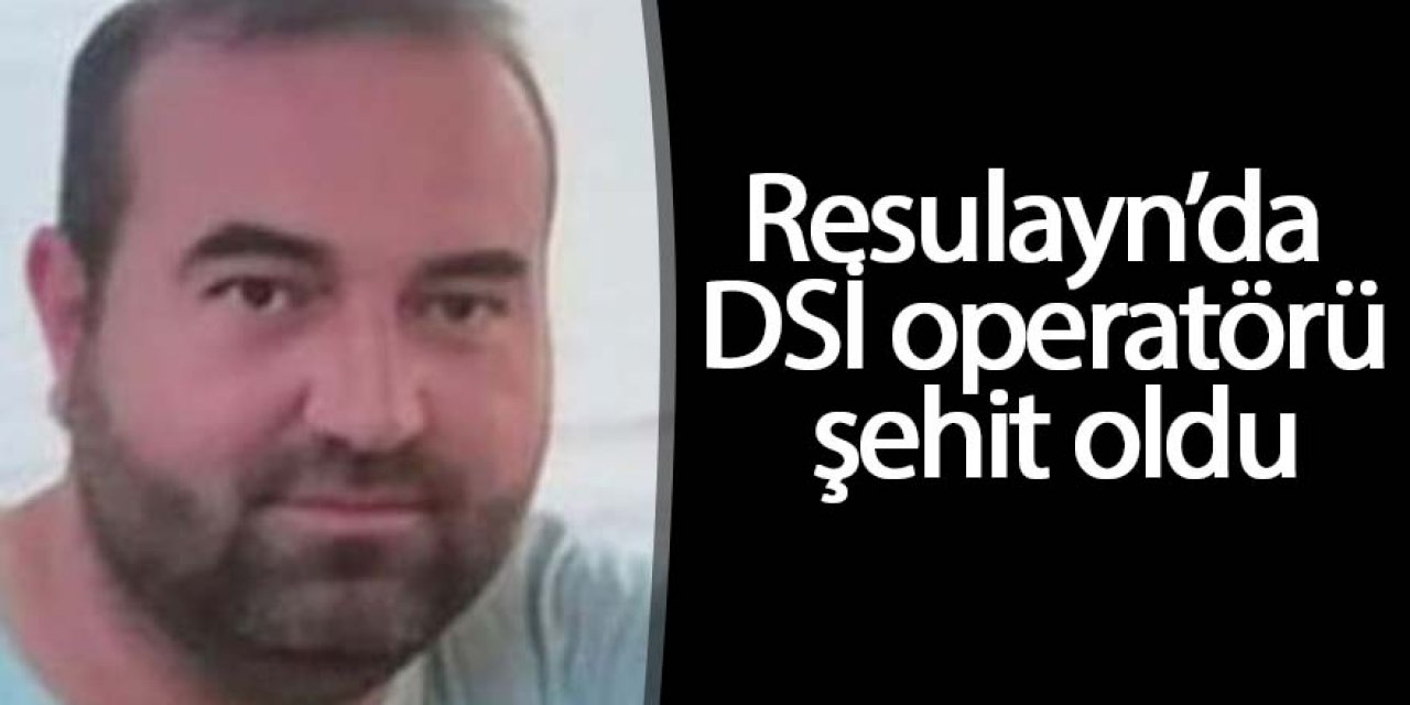 Resulayn’da teröristlerin saldırısında DSİ operatörü şehit oldu