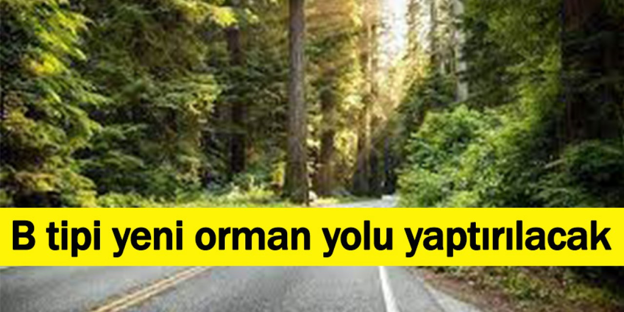 B tipi yeni orman yolu yaptırılacak