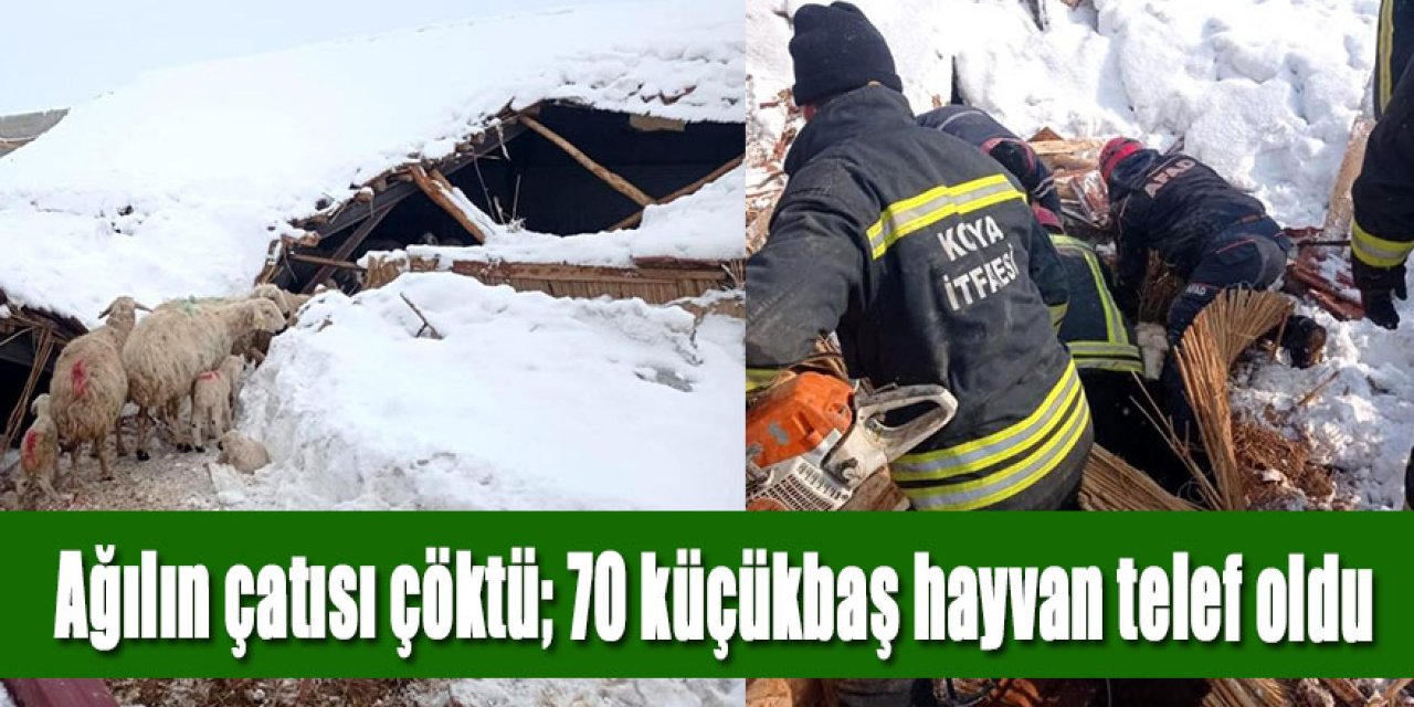 Çatısı çöken ağılda 70 küçükbaş hayvan telef oldu