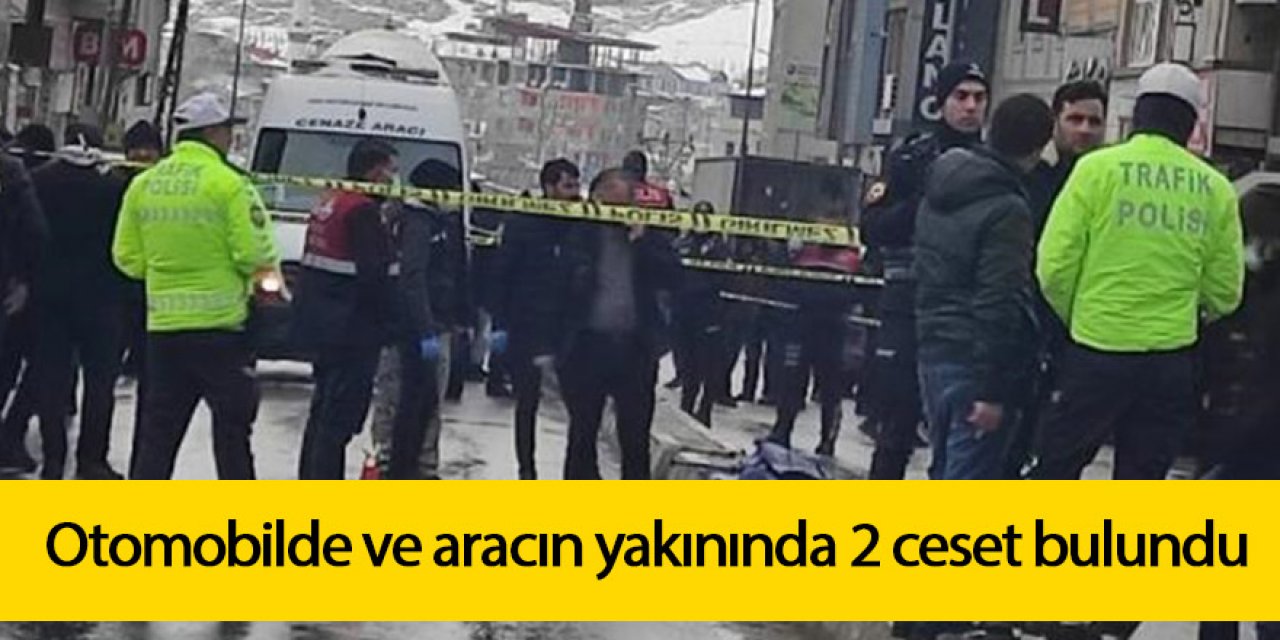Otomobilde ve aracın yakınında 2 ceset bulundu