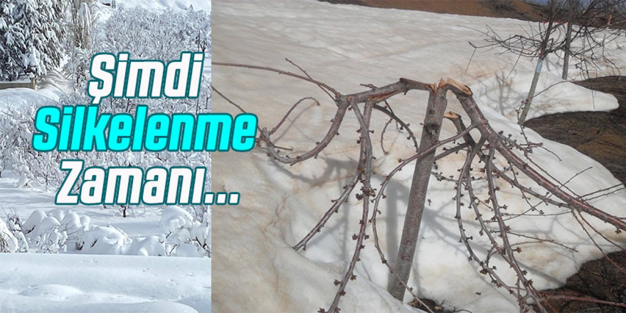 Şimdi Silkelenme Zamanı...