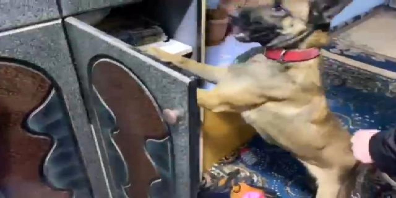 Arabasında uyuşturucu madde, evinde uçaksavar mermisi bulundu