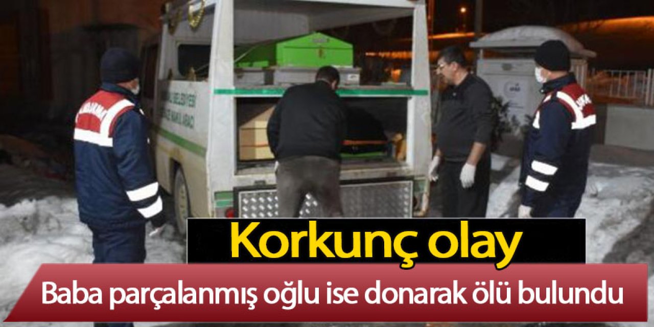 Baba evde parçalanmış, oğlu ise bahçede donmuş halde ölü bulundu