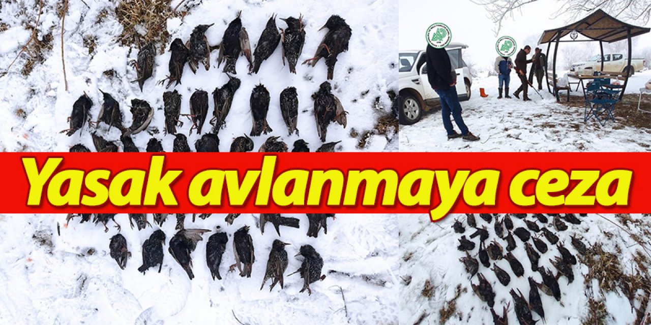 Beyşehir Gölü Milli Parkı'nda avlanan 3 kişiye ceza