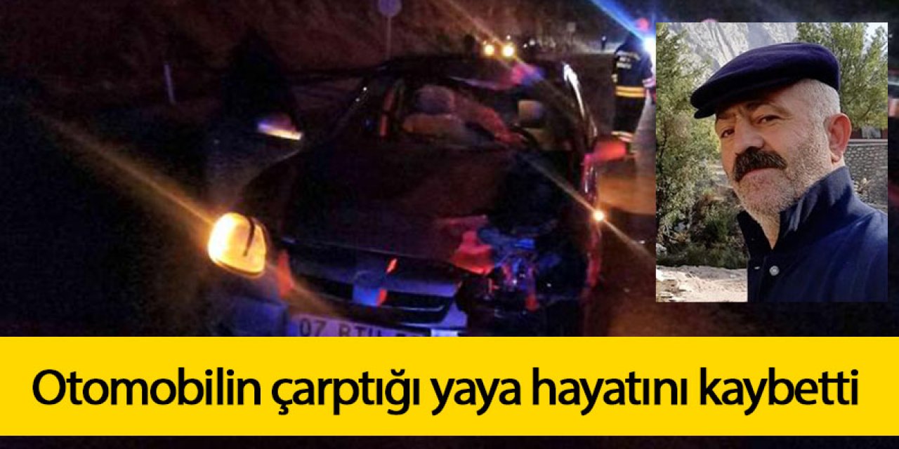 Otomobilin çarptığı yaya hayatını kaybetti