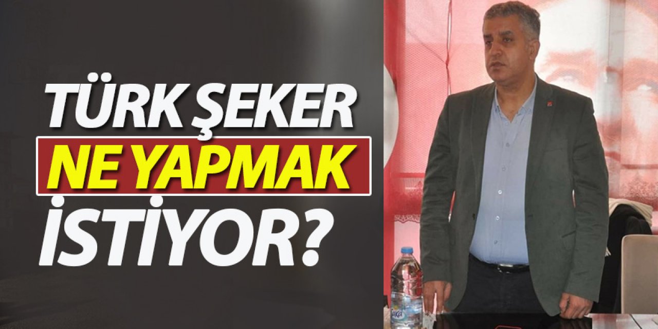Türk Şeker Ne Yapmak İstiyor?