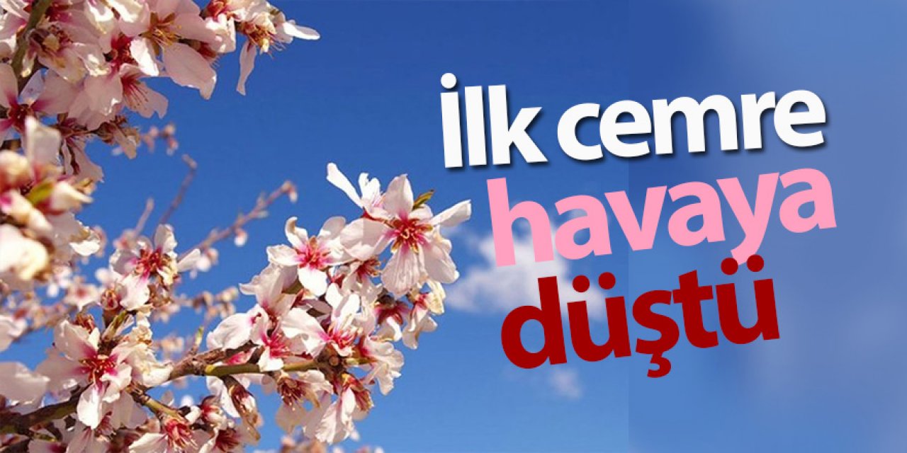 İlk cemre havaya düştü 