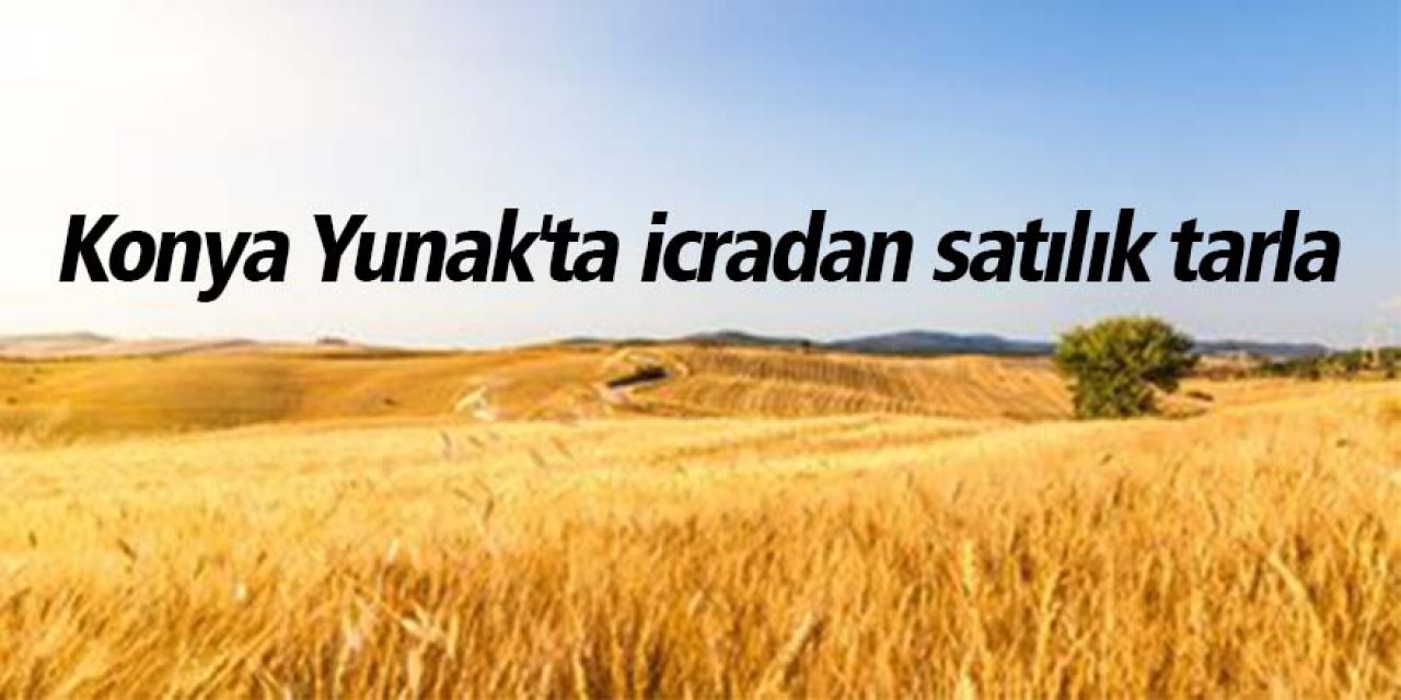 Konya Yunak'ta icradan satılık tarla