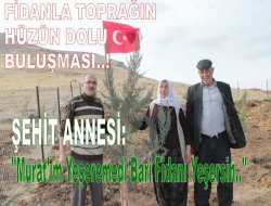 Şehit Annesi Oğlu İçin Fidan Dikti