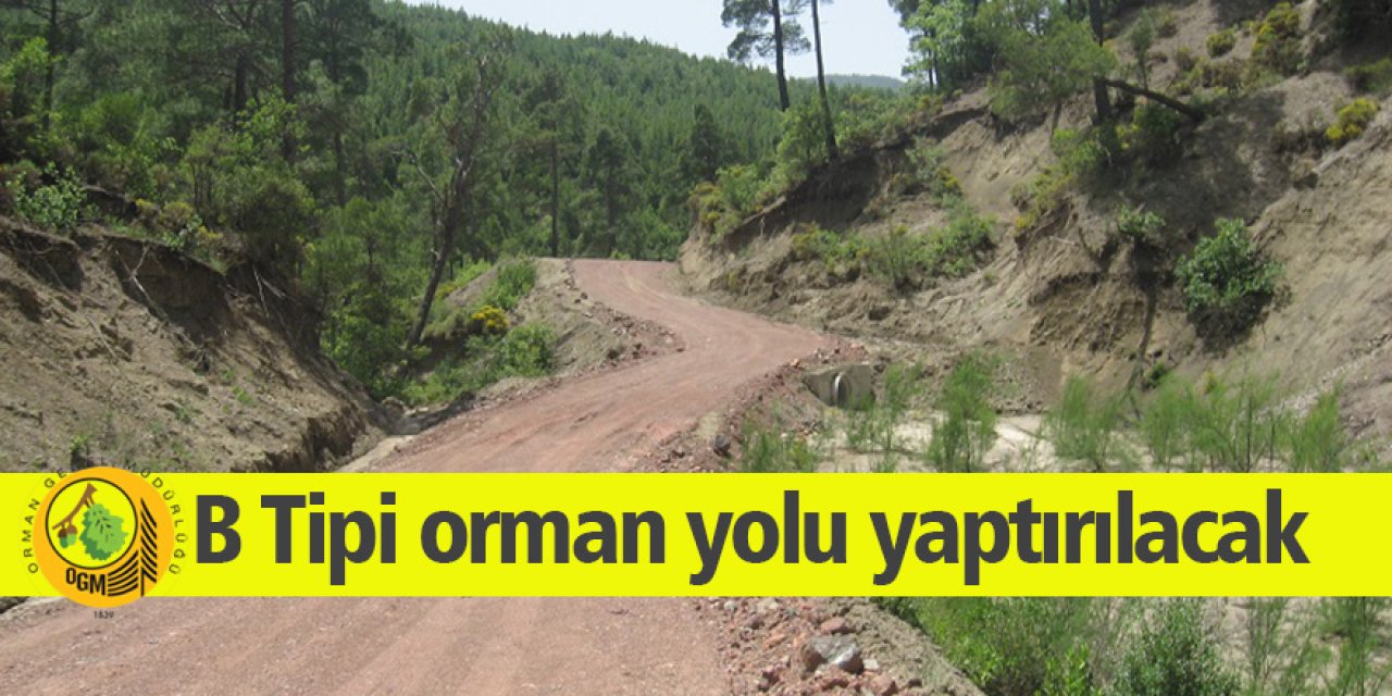 B Tipi orman yolu yaptırılacak